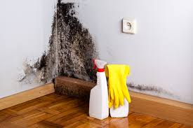 Best Mold Removal for HVAC Installations  in Cattaraugus, NY